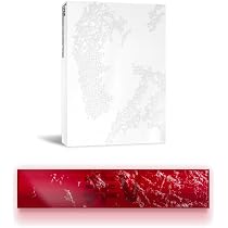 Amazon.co.jp: 【Amazon.co.jp限定】V 'TYPE 非' +V 'TYPE 非' POSTER